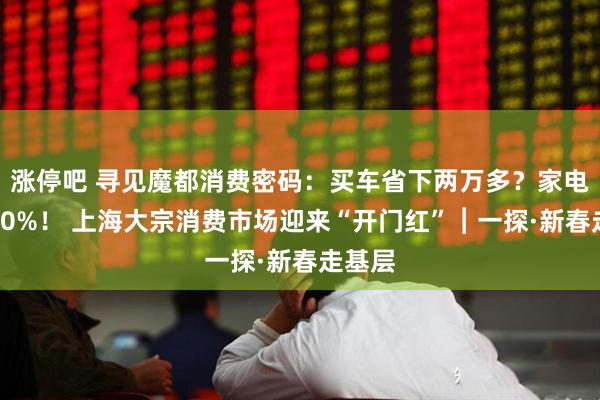 涨停吧 寻见魔都消费密码：买车省下两万多？家电直降30%！ 上海大宗消费市场迎来“开门红”︱一探·新春走基层