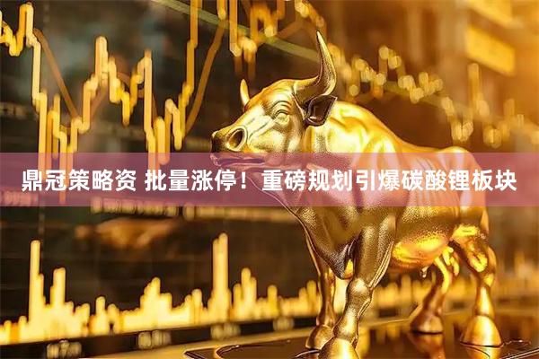 鼎冠策略资 批量涨停！重磅规划引爆碳酸锂板块